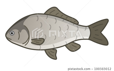 鯽魚 100383012