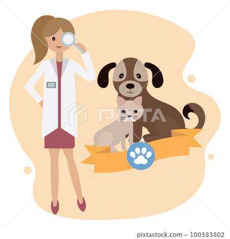 Woman veterinarian and dog with cat.Medical concept. Vector, flat style illustration 100383802