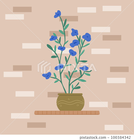 Indoor garden plants and fresh flowers in pot and watering can. House growing potted houseplants 100384342