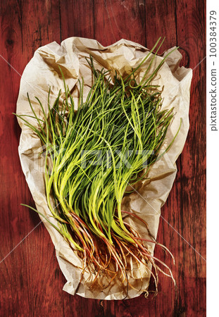 Salsola soda vegetable Salsola soda vegetable 100384379