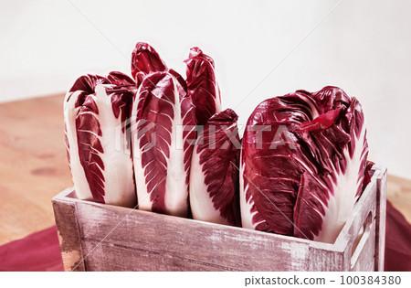Red radicchio , Italian chicory Red radicchio , Italian chicory 100384380