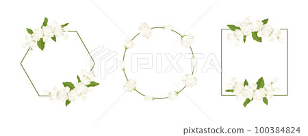 Collection of wreath jasmine flower hand drawn illustration. 100384824