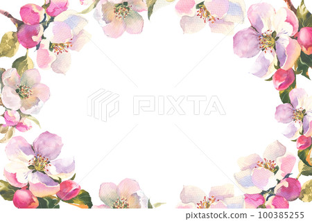 Watercolour illustration, delicate branch of an apple tree with flowers and leaves. Horisontal frame with Spring pink flowers, with empty plase for you text Watercolour illustration, delicate branch of an apple tree with flowers and leaves. Horisontal frame with Spring pink flowers, with empty plase for you text 100385255
