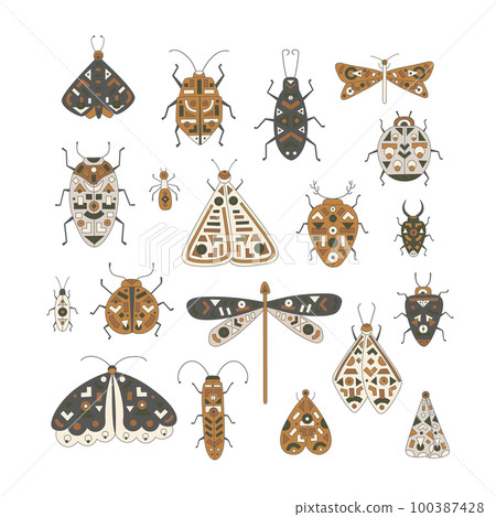 Cute folk insects set illustrations. Vector Moth, butterfly, bug, ant, gragonfly, cockroach with geometric ornament. Cute folk insects set illustrations. Vector Moth, butterfly, bug, ant, gragonfly, cockroach with geometric ornament. 100387428