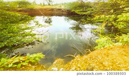 Boggy lake 100389303