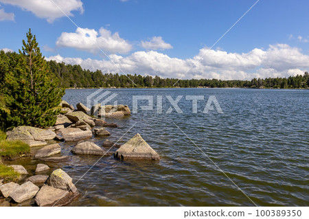 Summer landscape in La Cerdanya, Pyrenees mountain, Catalonia, Spain. 100389350
