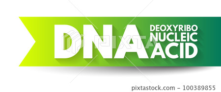 DNA Deoxyribonucleic Acid - hereditary material in humans and almost all other organisms, acronym text concept background DNA Deoxyribonucleic Acid - hereditary material in humans and almost all other organisms, acronym text concept background 100389855