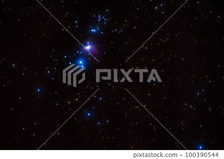 獵戶座/M42 獵戶座/M42 100390544