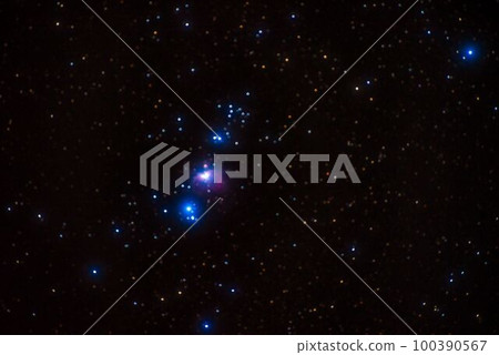 Orion / M42 Orion / M42 100390567