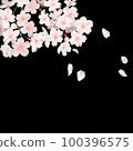 How the cherry blossoms dance at night 100396575