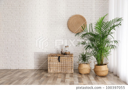 Beautiful green potted plants in stylish room interior. Space for text 100397055