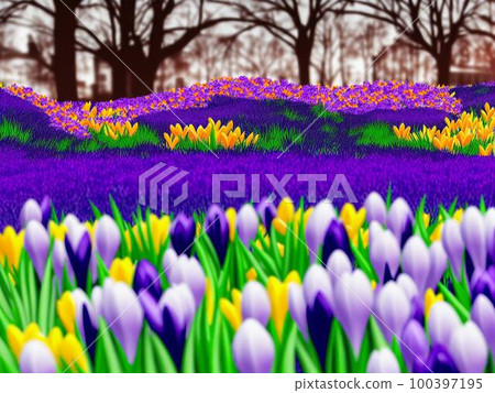 Flower bed with blooming crocuses AI illustration 100397195