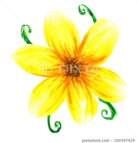 Watercolor abstract bright summer yellow flowers and leaves. Isolated objects on white background Watercolor abstract bright summer yellow flowers and leaves. Isolated objects on white background 100397429