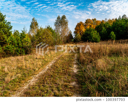 Forest dirt road against the background of a blue sky with clouds. Forest dirt road against the background of a blue sky with clouds. 100397703