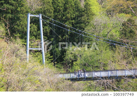 樹木之間的橋樑/吊橋 100397749