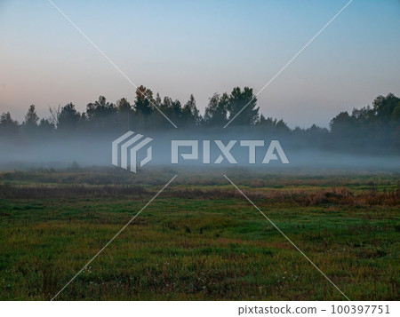 Morning fog on a meadow against a forest horizon 100397751