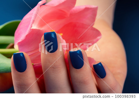 Woman hands with manicure holding colorful tulips Woman hands with manicure holding colorful tulips 100398393