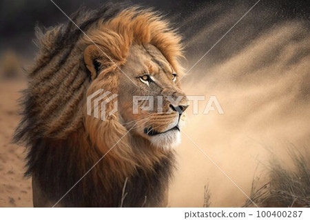 Lion in Africa closeup. Generative AI 100400287