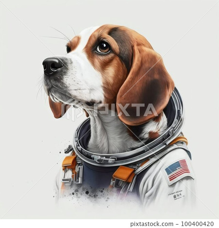 Beagle dog in astronaut suit, white background. Generative AI Beagle dog in astronaut suit, white background. Generative AI 100400420