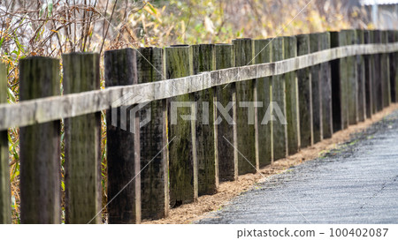 Wood fence 100402087