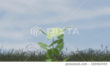 Meadow and growing leaves 100402443