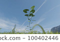 Meadow and growing leaves 100402446