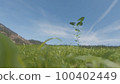 Meadow and growing leaves 100402449