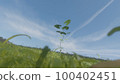 Meadow and growing leaves 100402451