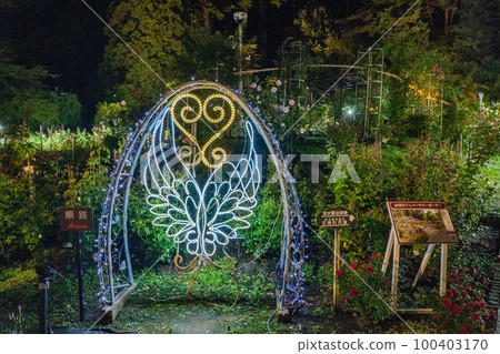 Hanamaki Onsen Rose Garden Illuminated (Hanamaki City, Iwate Prefecture) 100403170
