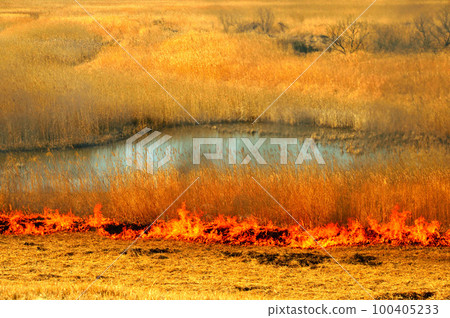 火焰吉燒渡瀨緩凝池 100405233