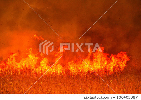 火焰吉燒渡瀨緩凝池 100405387