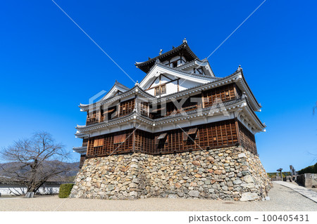 [Kyoto Prefecture] Fukuchiyama Castle, Fukuchiyama, Amata District, Tanba Province (now Fukuchiyama City, Kyoto Prefecture) 100405431