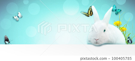 Funny Easter bunny. Happy Easter holiday concept. 100405785