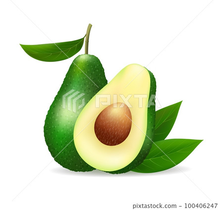 Alligator pear fruit Alligator pear fruit 100406247