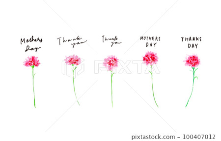 Watercolor. Carnation vector illustration with watercolor touch. mother's day flower illustration Watercolor. Carnation vector illustration with watercolor touch. mother's day flower illustration 100407012