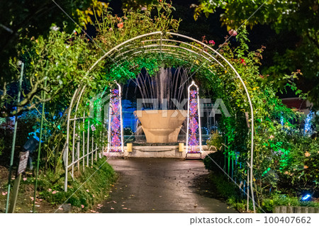 Hanamaki Onsen Rose Garden Illuminated (Hanamaki City, Iwate Prefecture) Hanamaki Onsen Rose Garden Illuminated (Hanamaki City, Iwate Prefecture) 100407662