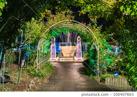 Hanamaki Onsen Rose Garden Illuminated (Hanamaki City, Iwate Prefecture) Hanamaki Onsen Rose Garden Illuminated (Hanamaki City, Iwate Prefecture) 100407663