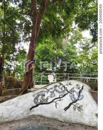 在升旗山發現的猴子畫 100408040