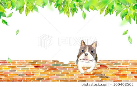 Cute dog and fresh green background material watercolor illustration 100408505
