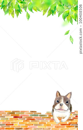 可愛的小狗和清新的綠色背景素材水彩插畫 100408506