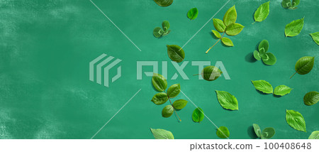Green leaf border design background 100408648