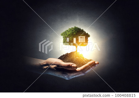 Hand holding green house . Mixed media 100408815
