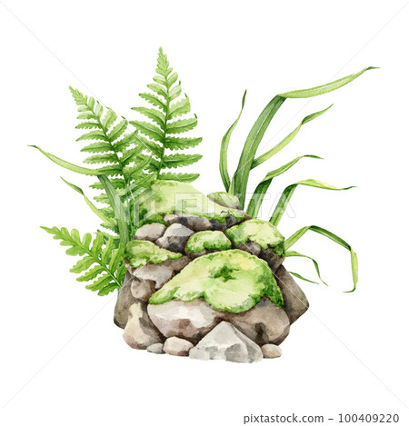 Mossy stone pile with green grass and fern illustration. Hand drawn watercolor outdoor landscape element. Park, forest, garden green lush natural element. Stones with green moss and vegetation around 100409220