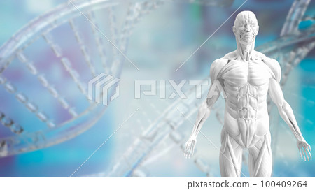 The white muscle model on Dna background for sci or health and medical concept 3d rendering 100409264