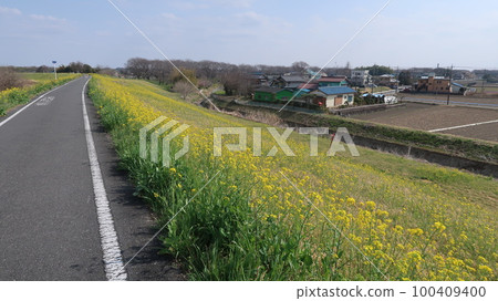 荒川自行車道/七花 100409400