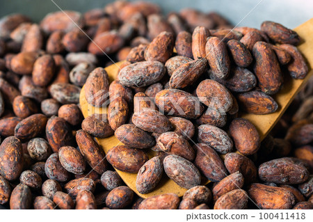 Cocoa beans and cocoa pod on a wooden surface. Cocoa beans and cocoa pod on a wooden surface. 100411418