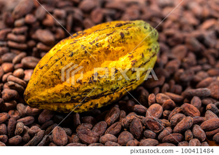 Cocoa beans and cocoa pod on a wooden surface. 100411484