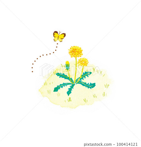 蒲公英蝴蝶 100414121