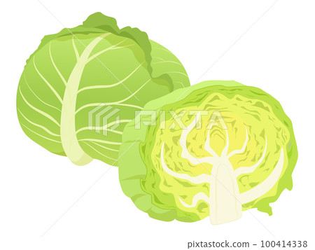 cabbage  100414338