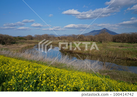Canola flowers on the riverbed of the Kogai River against the blue sky and the scenery of Mt. Tsukuba Ver2 Canola flowers on the riverbed of the Kogai River against the blue sky and the scenery of Mt. Tsukuba Ver2 100414742